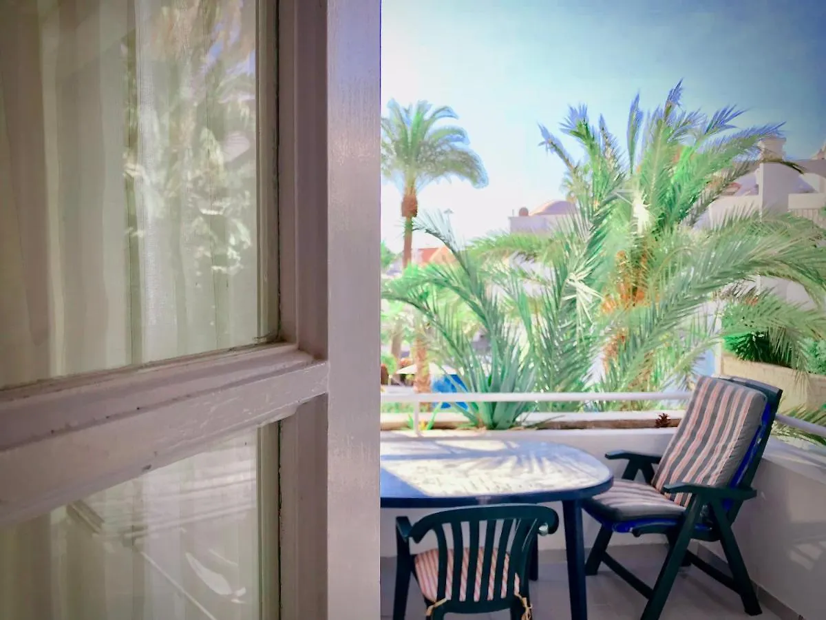 Appartement Amazing Beachfront, Pool And Terrace Costa Adeje  Espagne